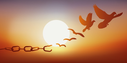 Témoignage {{brizy_dc_image_alt imageSrc=